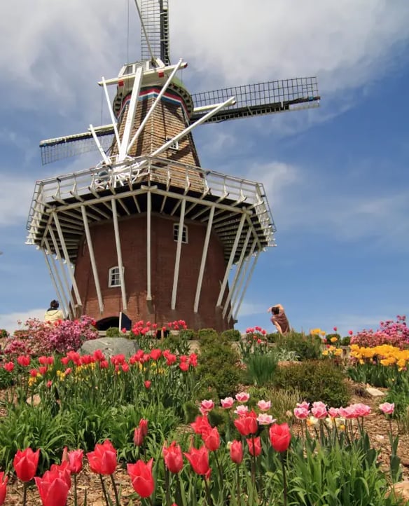 Holland
